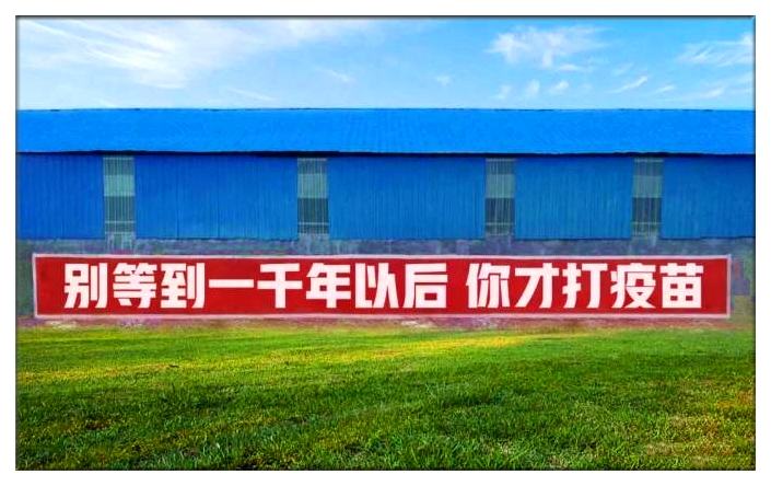 1617241236000062682.jpg 1617241236000062682.jpg